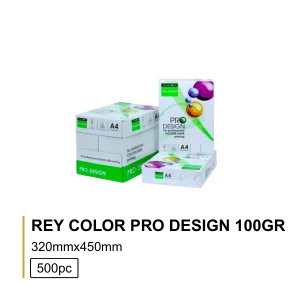 Papel Rey Color Pro Design 32x45 100gr - 500Folhas