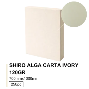 Shiro Alga Carta Ivory 120g 70×100cm - 250 folhas