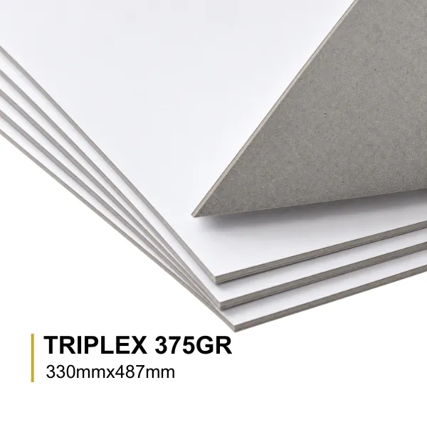 CARTOLINA TRIPLEX 375GR 33X487 VERSO CINZA- 100 Fls